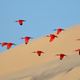 Illustration for article titled These Are the Best Wildlife Photographs of 2015
